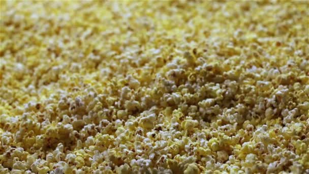 Läckra popcorn bakgrund. Makro skott av en popcorn konsistens av saltat och osaltat majs — Stockvideo