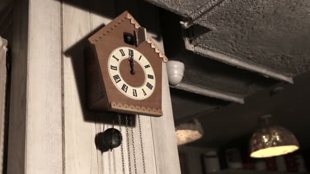 Reloj de cuco de madera 12 OClock Chime Bird — Vídeos de Stock