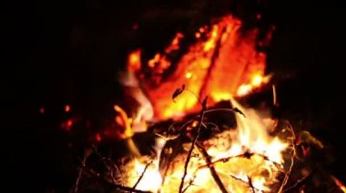 ormanda yangın yanık biter bir açıklıkta büyük gece şenlik ateşi yakar