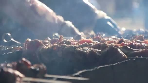 Güneşli bir günde, kızartma Barbekü, lezzetli et mangal şiş üzerinde hazırlanıyor Barbekü çok, kebaplar ızgara kavrulmuş — Stok video