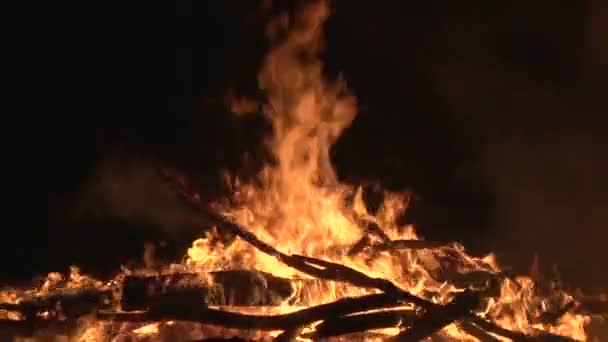 Faíscas de fogo noturnas voando no céu escuro, grande fogueira noturna em uma clareira na floresta — Vídeo de Stock