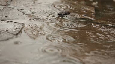 Yağmur damlaları yolda odak hareket düşmek