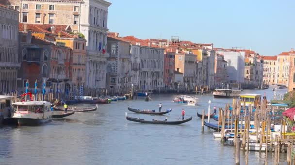 Венеция, гондольер плавает по большому каналу. Главный канал Венеции, гондола в венецианском канале — стоковое видео