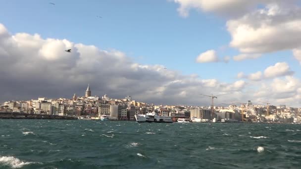 Fiskmåsar flyger över Bosporen i blåsigt väder på sommaren i slow motion — Stockvideo