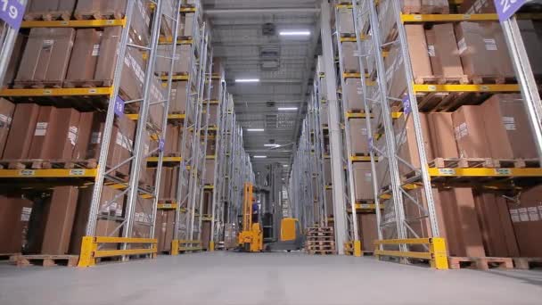 Gran almacén en la fábrica, muchas cajas en el almacén, los trabajadores derriten las mercancías en el almacén — Vídeo de stock