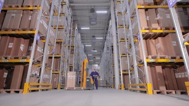 大規模な近代的な倉庫のタイムラプス,倉庫のタイムラプスのアクティブな作業,工業用インテリア — ストック動画