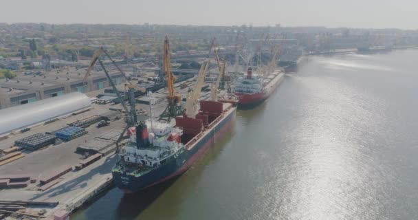 Puerto marítimo desde el aire. Puerto de carga con grandes barcos y grúas . — Vídeo de stock