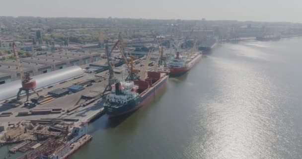 Cargo ship loading in seaport, aerial view — Stock Video