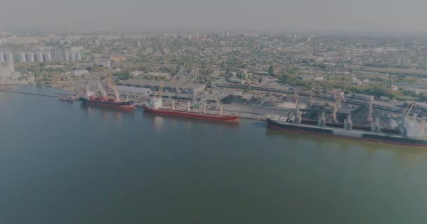 Stor industrihamn, kusthamn med hamnkranar — Stockvideo