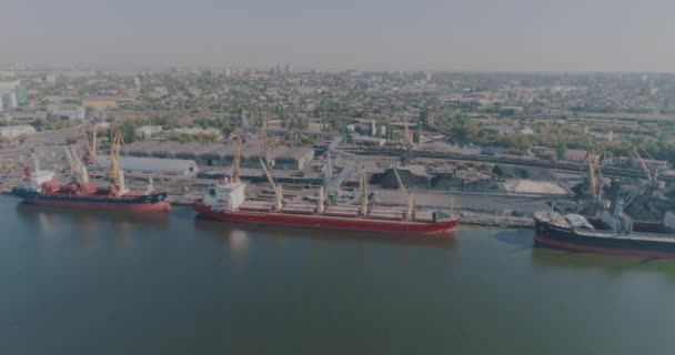Massengutfrachter im Seehafen, Schiffe für den Transport von Massengütern Generalplan — Stockvideo