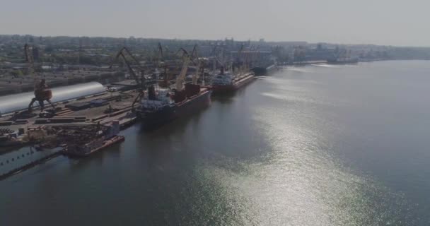 The general plan of a large seaport, Flight over the port with cargo ships. Flight over port cranes and large cargo ships — Stock Video