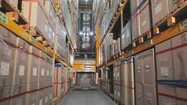Modern gaffeltruck i ett fabrikslager, arbetar i ett lager — Stockvideo