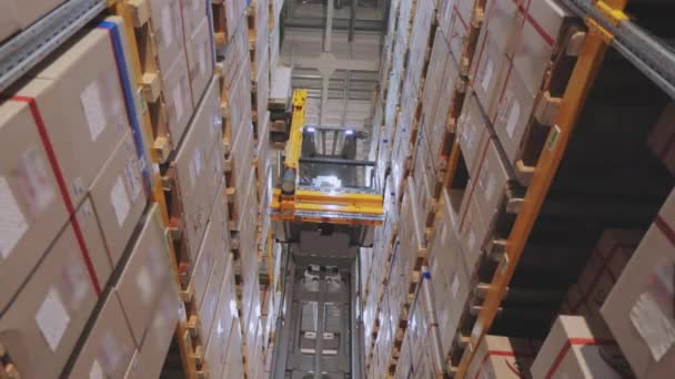 Μεγάλη βιομηχανική αποθήκη, κυκλοφορία των μηχανημάτων στην αποθήκη, Forklift αναδιοργανώνει κουτιά στην αποθήκη — Αρχείο Βίντεο