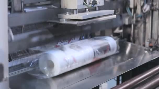 Conveyor line of wallpaper production, wallpaper production plant, modern wallpaper production plant — Stock Video