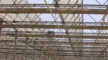 Şeffaf çatılı ve çiçek açan büyük parlak bir sera.