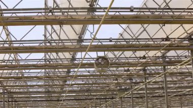 Şeffaf çatılı ve çiçek açan büyük parlak bir sera.