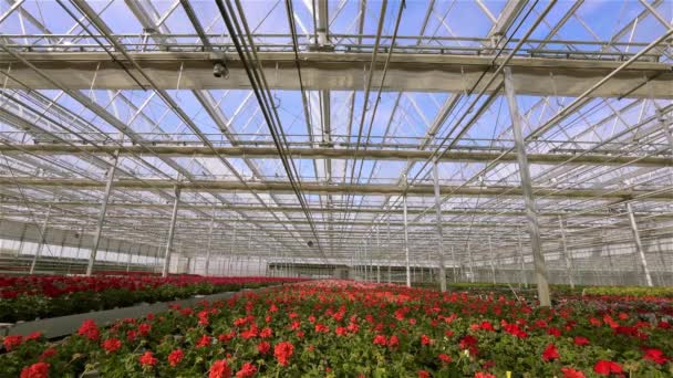 Time lapse roof closure in the greenhouse, the process of closing the glass roof in a large modern greenhouse — Stock Video