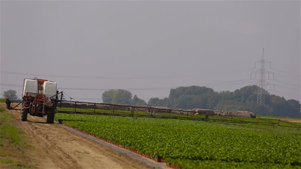 Equipo para el riego de campos agrícolas. Riego agrícola en el campo cultivado — Vídeos de Stock