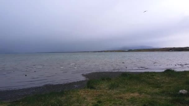 Panorama van de aard van patagonië, volgen in patagonië. Landschappen van Patagonië — Stockvideo