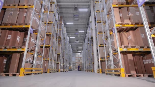 Vysokozdvižný vozík ve skladišti, muž ve velkém skladišti odvádí práci — Stock video
