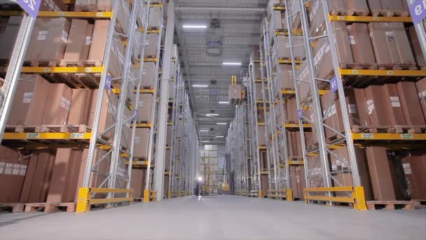 近代的な倉庫、倉庫内の大規模な近代的なフォークリフト — ストック動画