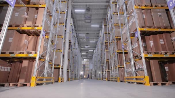 Modern warehouse, large modern forklift in warehouse — Stock Video