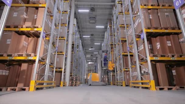 Fabrikadaki büyük depo, işçiler depodaki malları eritiyor, depodaki bir sürü kutu. — Stok video