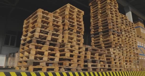 Pallets in een magazijn, veel houten pallets in een prachtig magazijn — Stockvideo