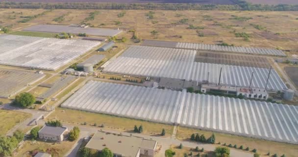 Planta industrial en crecimiento, gran invernadero desde el aire. Exterior industrial — Vídeos de Stock