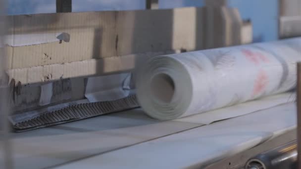 Moderna planta de producción de papel pintado. Línea transportadora de producción de papel pintado, planta de producción de papel pintado — Vídeo de stock