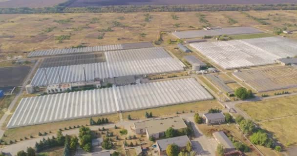 Industrial plant growing, large greenhouse from the air. Industrial Exterior — Stock Video