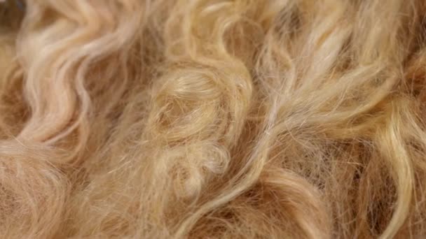 Производство париков, настоящие парики, красивые искусственные волосы — стоковое видео