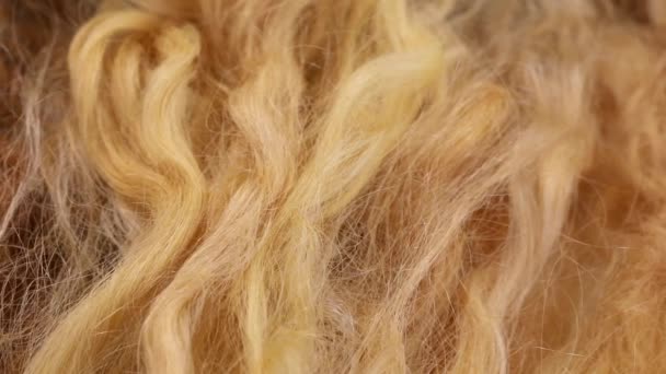 Peluca de producción, pelucas de pelo real, hermoso cabello artificial — Vídeo de stock