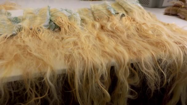 Производство париков на заводе, женщины делают парики на заводе. Женский парик — стоковое видео
