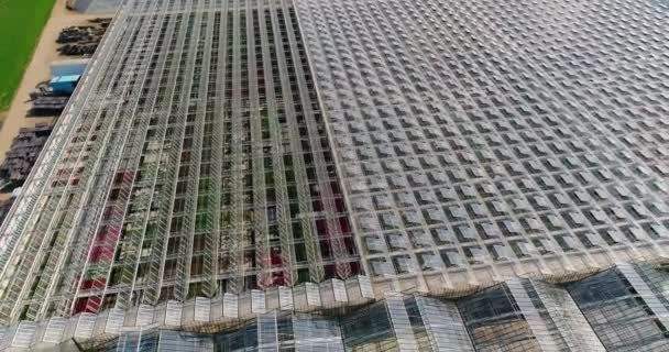 Flying over a large greenhouse with flowers, a greenhouse with a retractable roof, a greenhouse view from above, growing flowers. Large industrial greenhouses — Stock Video