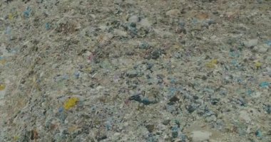 Çöp tenekesinin üzerinden uçmak, çöplüğün üzerinden uçmak, çöplükteki insanlar...