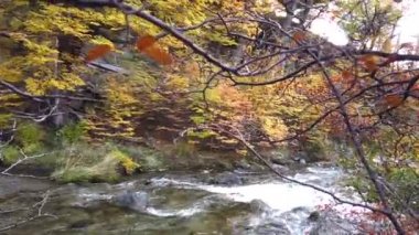 Şelale Chorrillo del Salto El Chalten, Arjantin yakınlarında