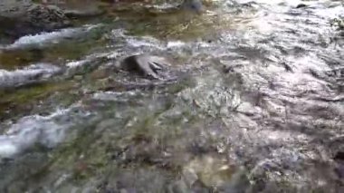 Şelale Chorrillo del Salto El Chalten, Arjantin yakınlarında