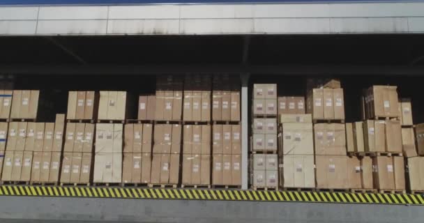 Товар ожидает отгрузки покупателю, современный склад с готовой продукцией в коробках — стоковое видео