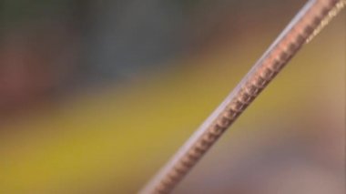 Bakır kablo üretimi yakın çekim, kablo yapımı, kablo yakın çekim