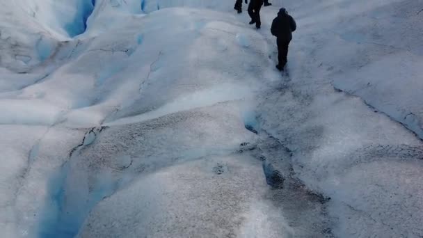 Un gruppo di persone sta camminando lungo il ghiacciaio. Ghiacciaio Blu Grigio in Patagonia, Cile — Video Stock