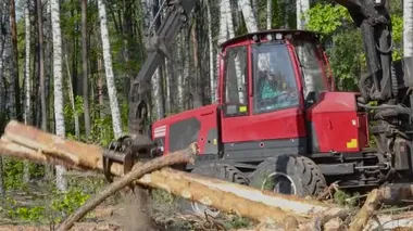 Kereste yükleme, kütükleri kamyona yükleme, kereste işleme, ormansızlaştırma, pençe ile kereste yükleme.