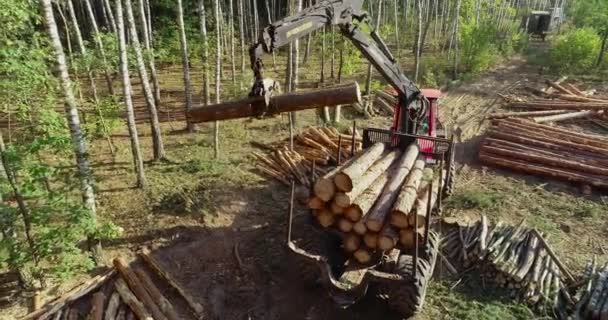Logboeken laden in de truck, logboeken laden in het bos, de manipulator laadt de logboeken — Stockvideo