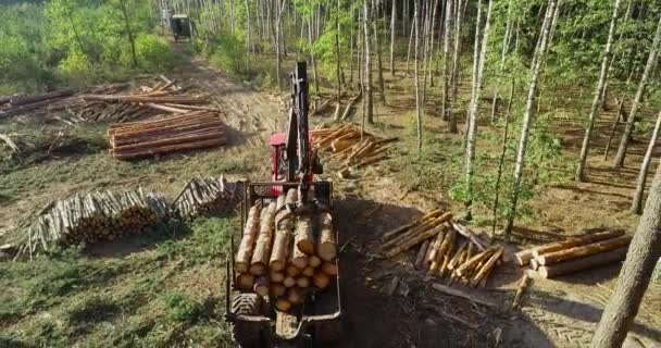 Kereste yükleme, kütükleri kamyona yükleme, kereste işleme, ormansızlaştırma, pençe ile kereste yükleme. — Stok video