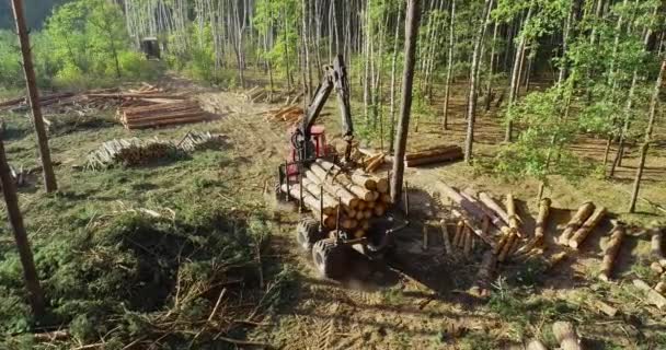 Timber loading, loading logs into a truck, timber processing, deforestation, timber loading with a claw