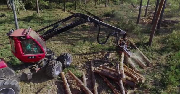 Le processus de coupe du bois de la part d'un exploitant forestier — Video