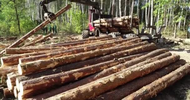 Fűrészáru berakodása, rönk berakodása egy teherautóba, fafeldolgozás, erdőirtás, fa berakodása egy karommal — Stock videók