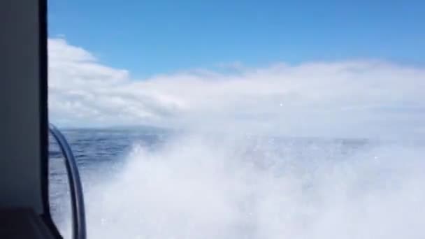 从汽艇上喷出的大喷雾汽艇快速游入海中,产生了巨大的浪花 — 图库视频影像