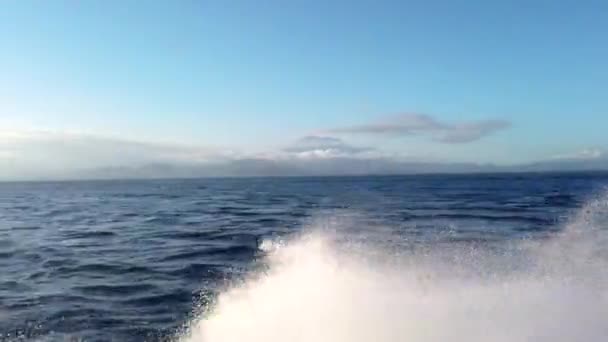 Ein Motorboot schwimmt schnell ins Meer und sorgt für große Spritzer. Große Gischt von einem Motorboot. — Stockvideo