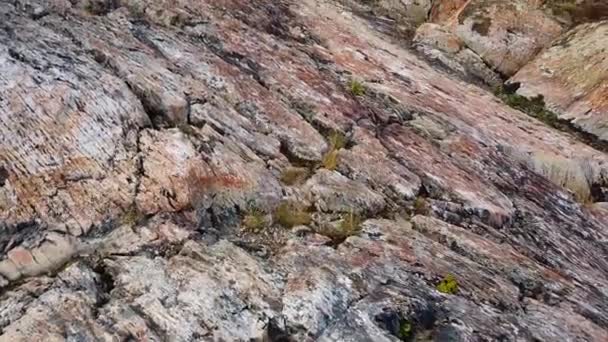 Grå sjön Patagonien, vacker natur i Patagonien — Stockvideo